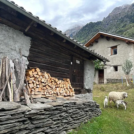 Waterfall House - Retreat, Swim, Bike, Hike And *